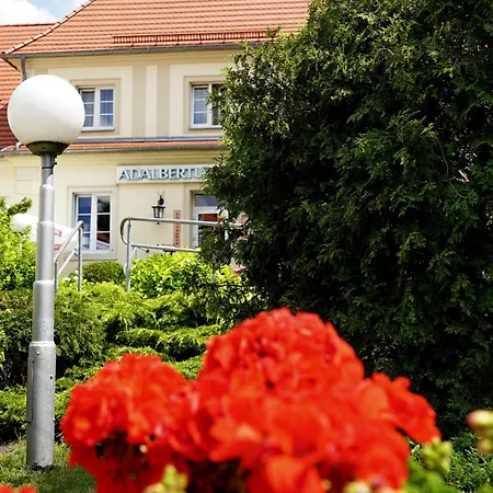Adalbertus Gniezno